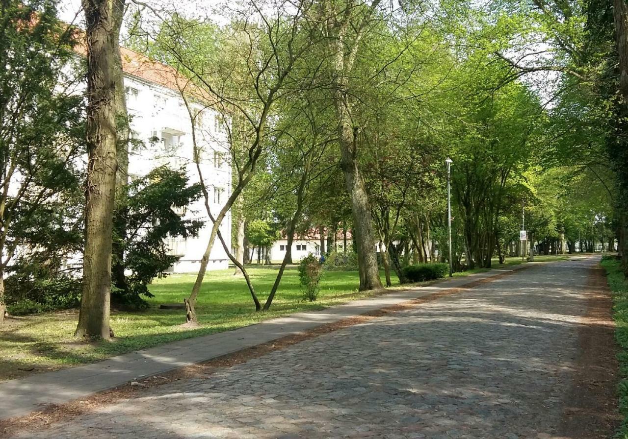 Ferienwohnung "Am Schlosspark" Neetzow Bagian luar foto